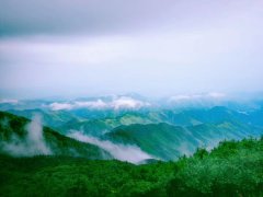 Longshan Mountain National Fore