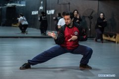 Feature: Chilean kung fu master