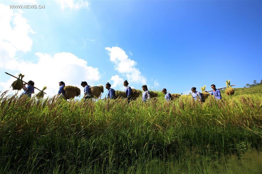 #CHINA-GUANGXI-RICE-TRADITION (CN)