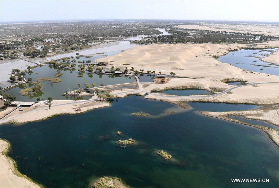 CHINA-XINJIANG-TARIM RIVER-SCENERY(CN)