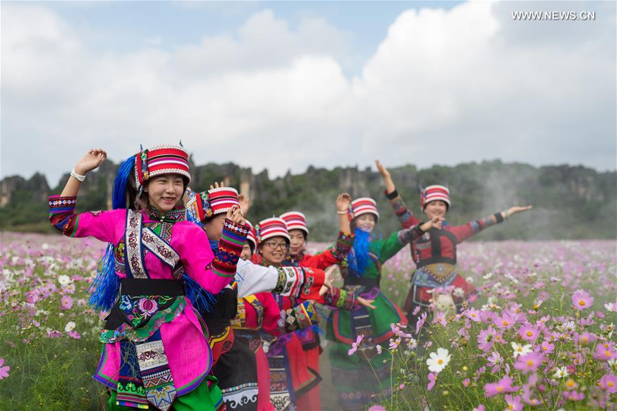 CHINA-YUNNAN-SHILIN-COSMOS (CN)