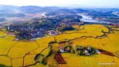 Autumn scenery in east China's 