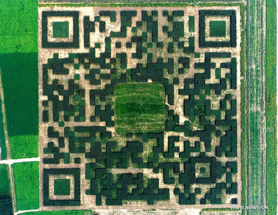 CHINA-HEBEI-BAODING-GIANT QR CODE (CN)